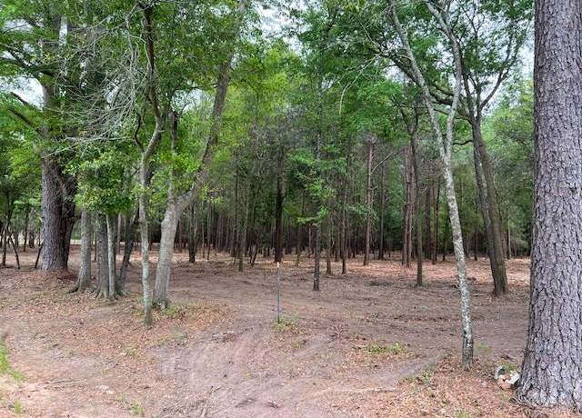 Property at 00 Kinsey Road 18+- Acres, Dothan, AL 36303