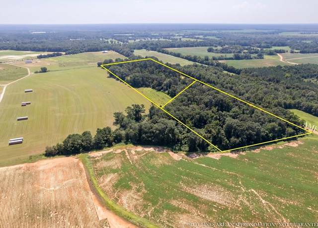 Property at 0 Ame Lot 2, Slocomb, AL 36375