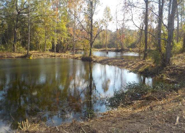 Property at 2338 D Hodge Rd (25.63+-ac), Cottonwood, AL 36320