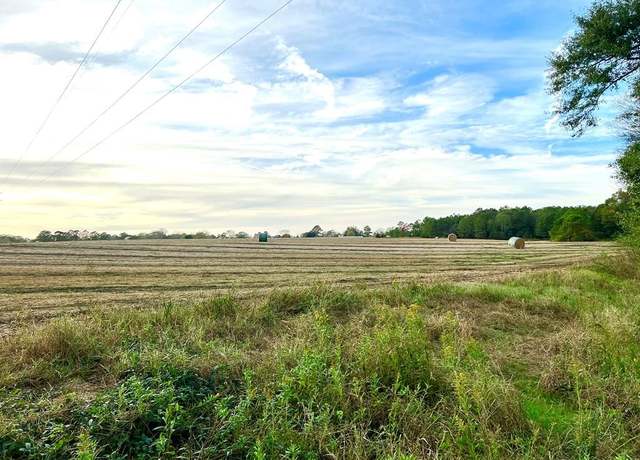 Property at 0 County Road 13, Headland, AL 36345
