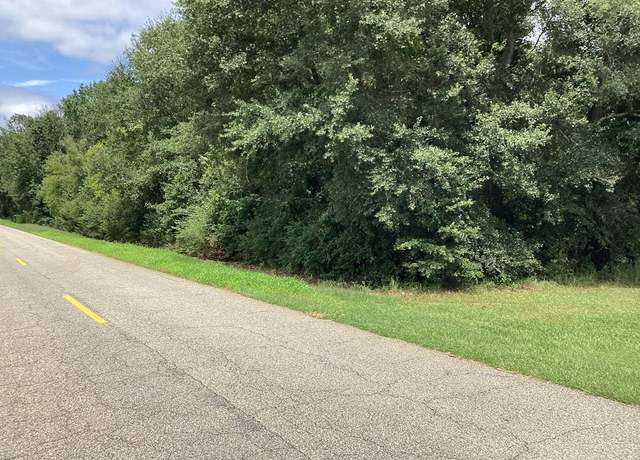 Property at 0 Suggs Rd, Headland, AL 36345