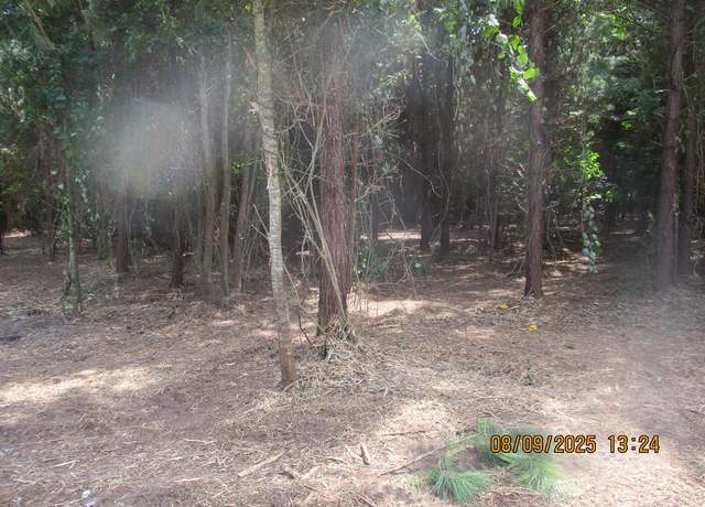 Property at 5218 Cr 8, Pansey, AL 36370