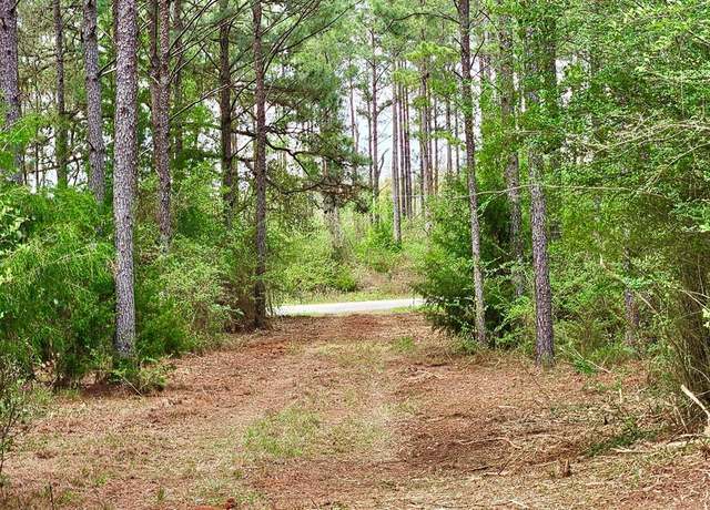 Property at 0 E County Road 22, Headland, AL 36345