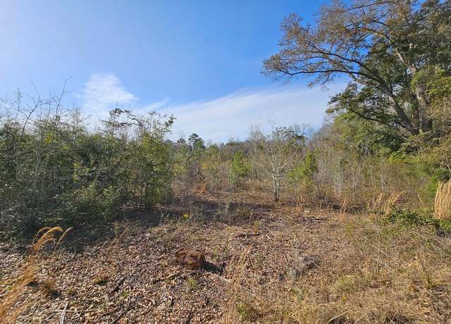 Property at 14.5 Acres Providence Rd, Slocomb, AL 36375