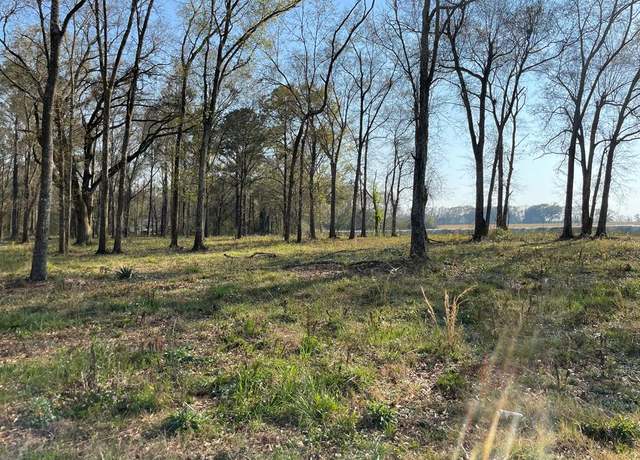 Property at 0 Lot I Prevatt Rd, Cowarts, AL 36321