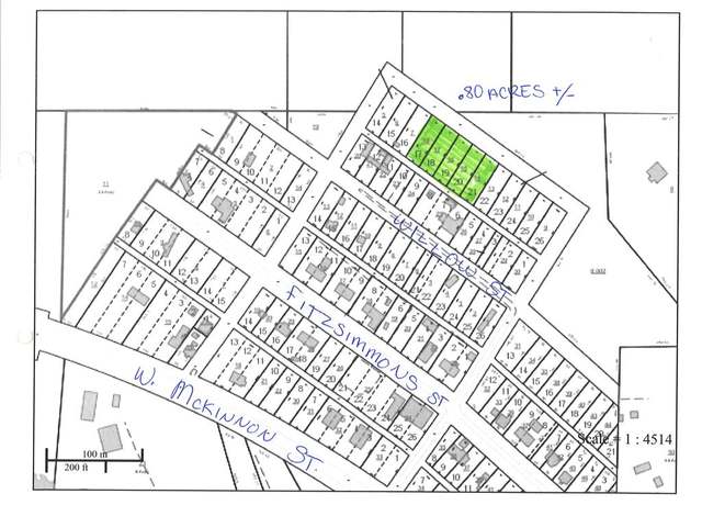 Property at Lots 17-21 Franklin St, New Brockton, AL 36351