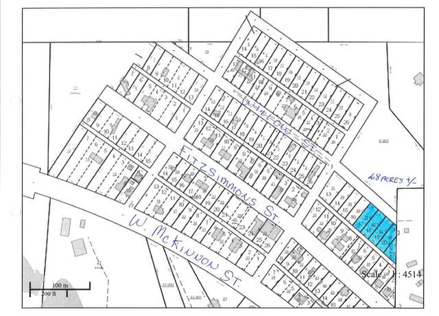 Property at Lots 17-21 Willow St, New Brockton, AL 36351