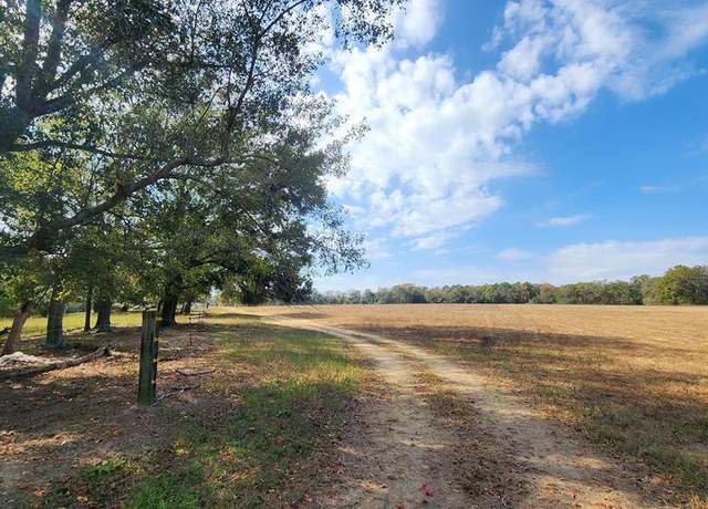 Property at 4 Acres Cedar Spgs, Ashford, AL 36312