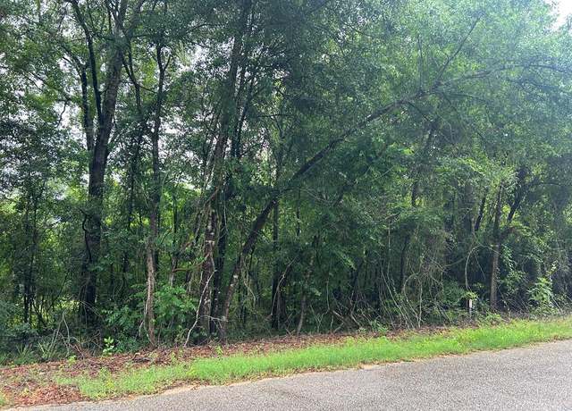 Property at 0 Holmes Rd, Newton, AL 36352