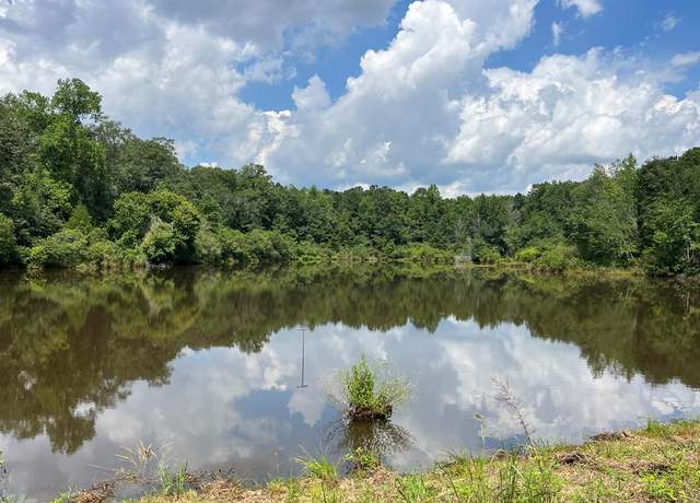 Property at TBD County Road 40, Abbeville, AL 36310
