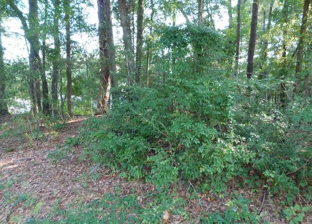 Property at 0 Briar Cliff Rd Lot 5 Bk E, Ozark, AL 36360