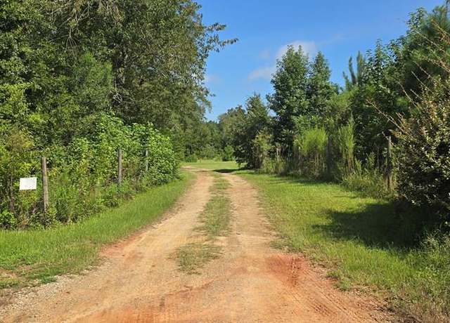 Property at 4739 Wallace Buie Rd, Webb, AL 36376