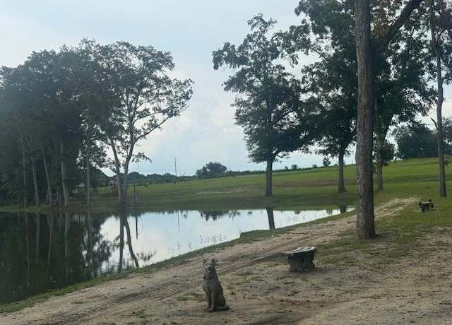 Property at 0000 Hwy 103, Slocomb, AL 36375