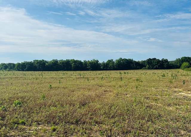 Property at 0 New Hinson Rd, Slocomb, AL 36375