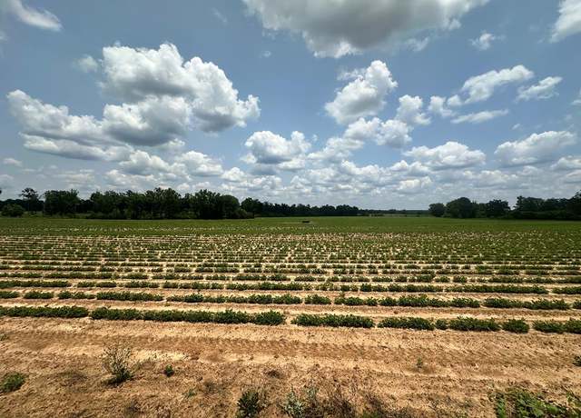 Property at 14 Acres Lot 6 J Saunders, Dothan, AL 36305