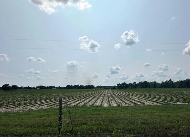 Property at 10 Acres Lot 10 Fondren Rd, Slocomb, AL 36375
