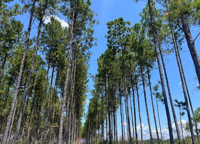 Property at . Pea Market Rd, Columbia, AL 36319