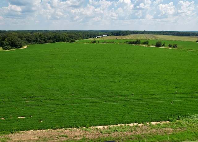 Property at 0 Judge Logue Rd, Newton, AL 36352