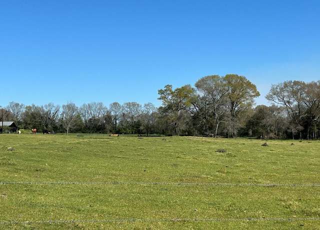 Property at 16.6+-ac Dale Cty Rd 530, Midland City, AL 36350