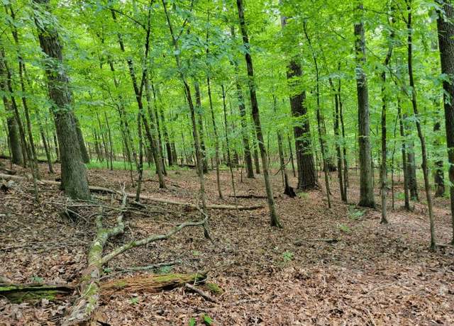 Property at TBD Bethel Rd, Ft. Gaines, GA 39851