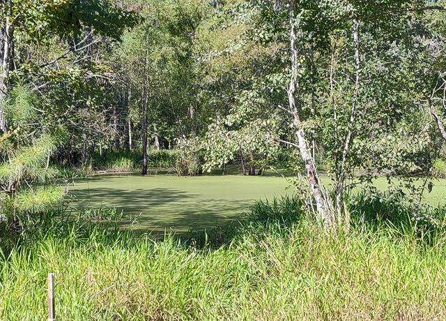 Property at 644 Case, Slocomb, AL 36375