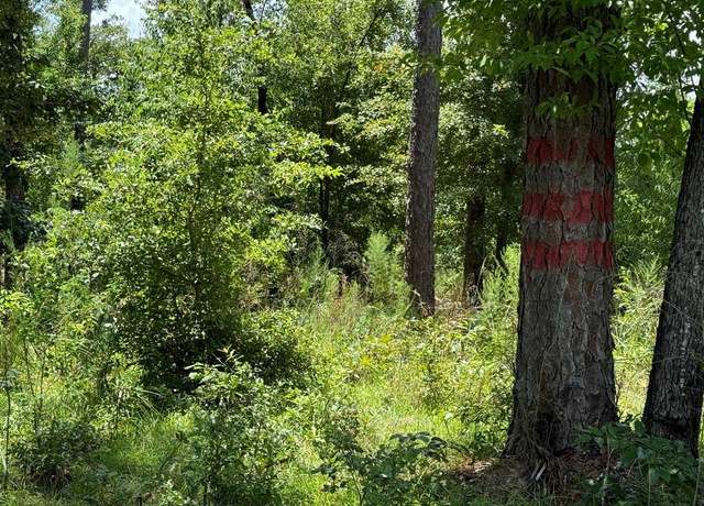 Property at 98 Holly Isles-harvel Pond Rd, Donalsonville, GA 39845