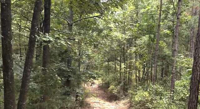 Photo of 000 County Road 6645, Banks, AL 36005