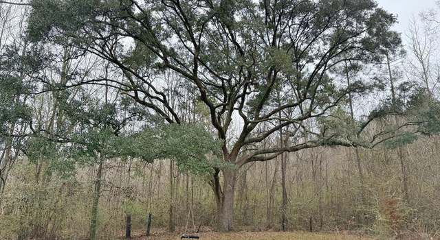 Photo of 0 Freddie Whiddon Rd, Webb, AL 36376