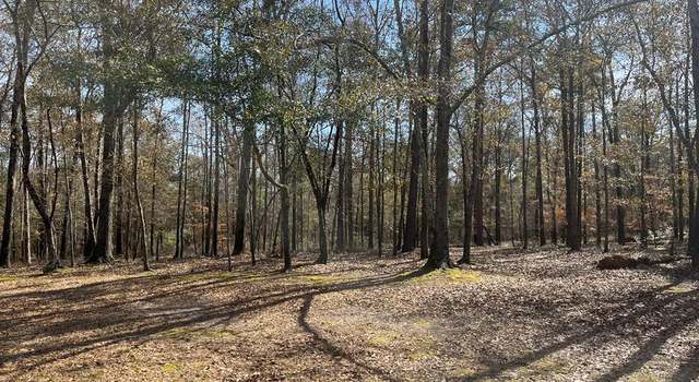 Photo of TBD County Road 46, Shorterville, AL 36373