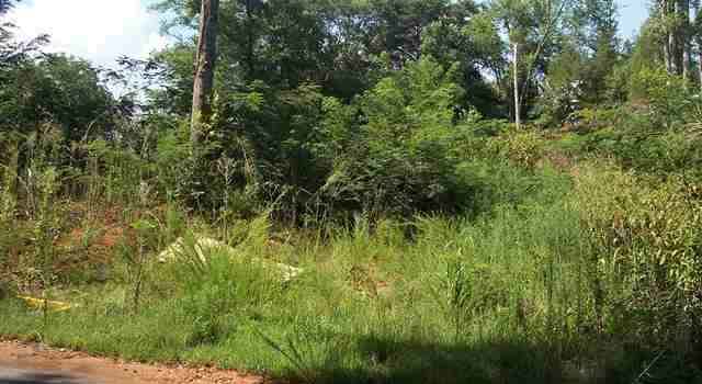 Photo of 605 Wheat St, Dothan, AL 36303
