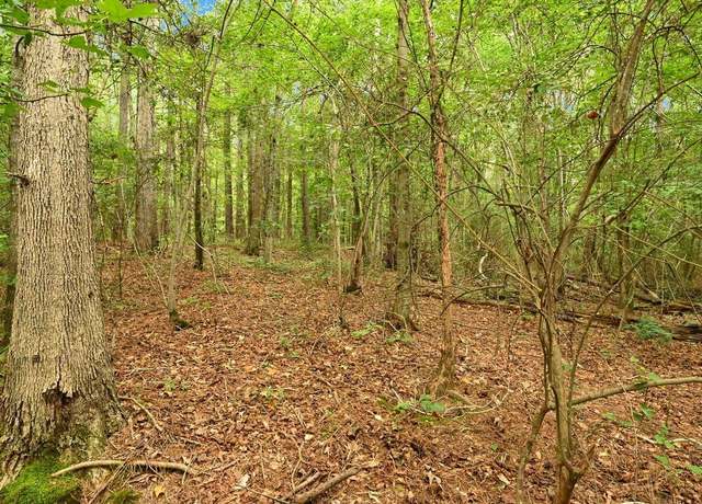Property at TBD Co Rd 796, Cullman, AL