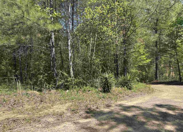 Property at Lot 1 & 2 Pine Cir, Jasper, AL