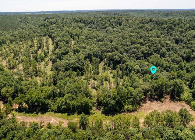 Property at Tract 2 Co Rd 126, Waterloo, AL