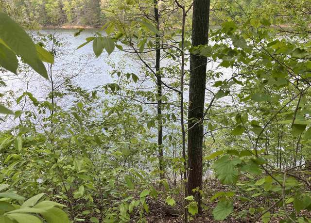 Property at 0 Co Rd 309, Crane Hill, AL