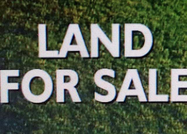 Property at 00 Hwy 101, Town Creek, AL