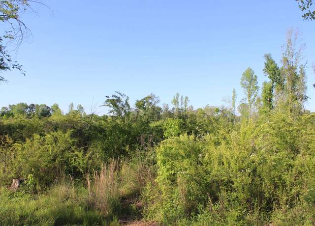 Property at 0 Welti Rd, Cullman, AL