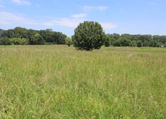 Property at 000 Mulberry Ln, Cherokee, AL