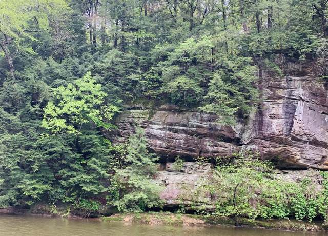 Property at 0 Hwy 81, Phil Campbell, AL