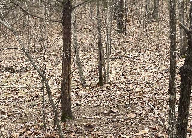 Property at 0 Co Rd 10, Hamilton, AL