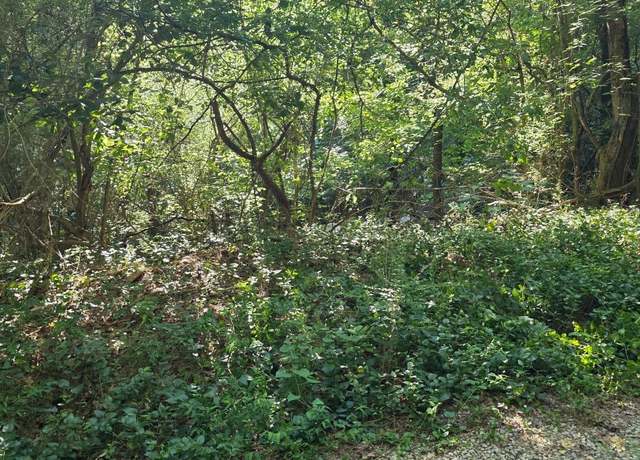 Property at 0 Vinson Ln, Russellville, AL