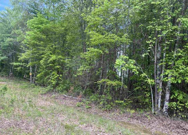 Property at 0 Co Rd 4, Double Springs, AL