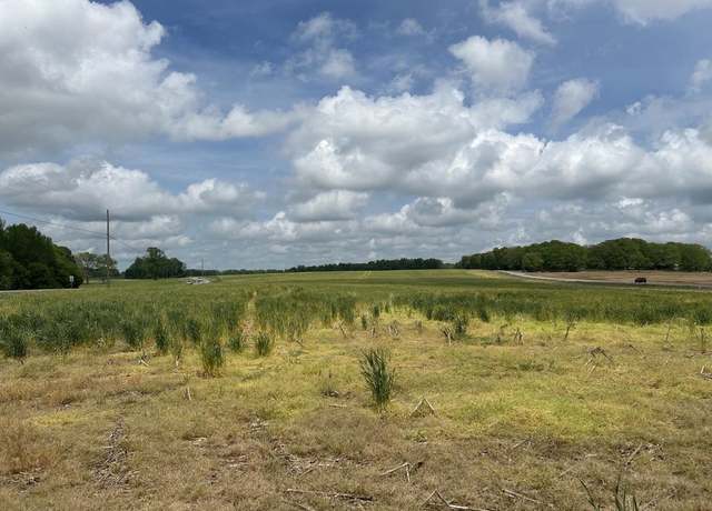 Property at Hwy 207, Anderson, AL