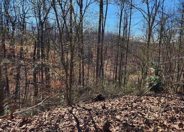 Property at Lot 1 Acorn Ave #1, Cullman, AL