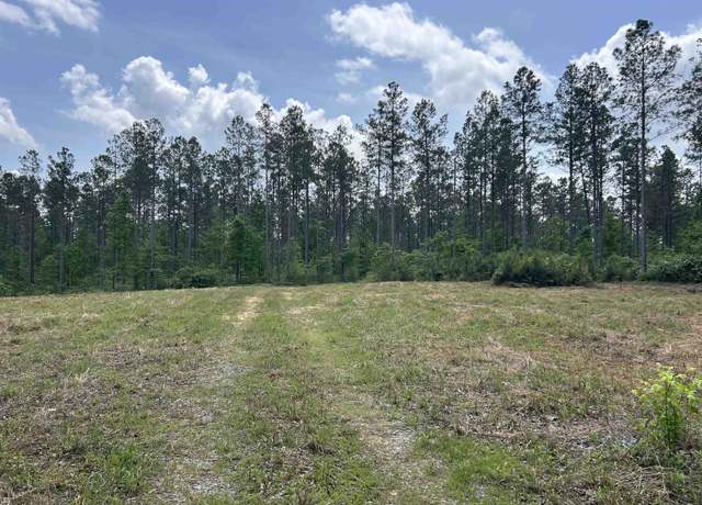 Property at 0 Co Rd 1208, Vinemont, AL