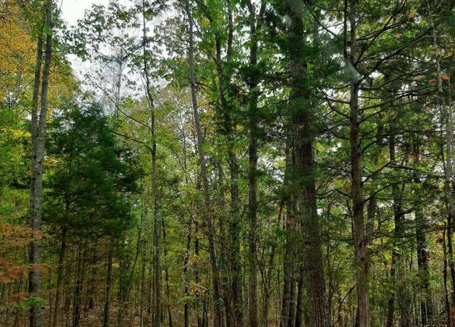 Property at 300 Co Rd 191, Waterloo, AL