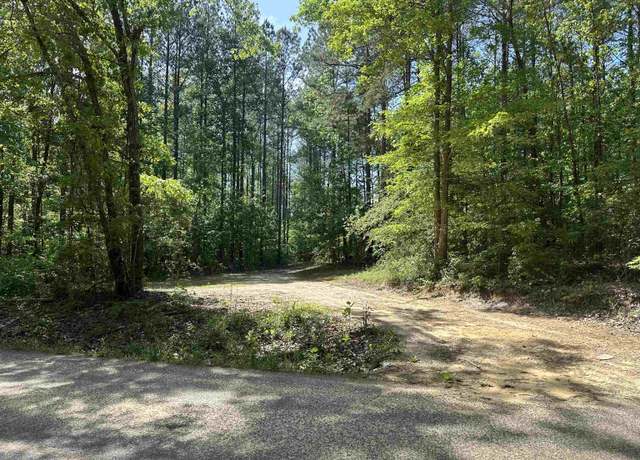 Property at 00 Co Rd 18, Bremen, AL