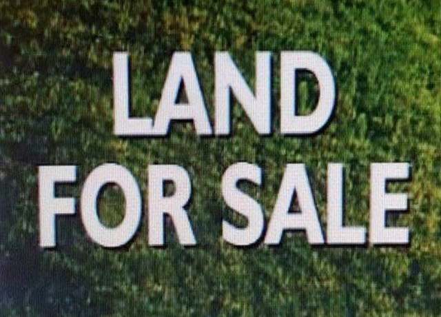 Property at 0 E Commons St, Tuscumbia, AL
