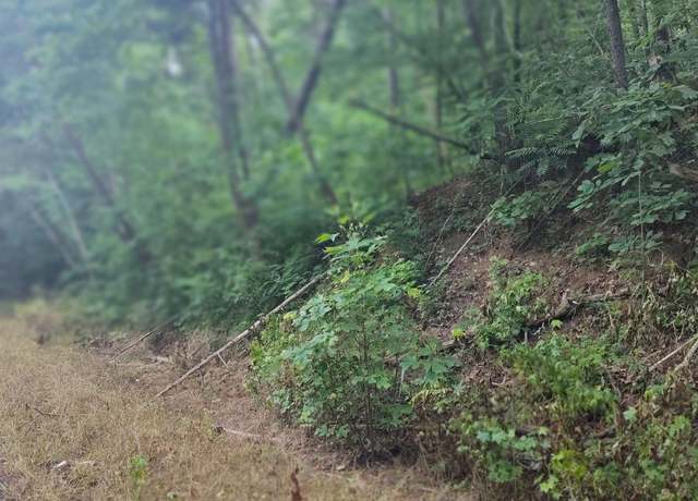 Property at 0 Co Rd 127 Lot 1 & 2, Bremen, AL