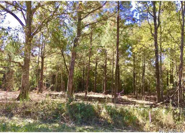 Property at 4311 Co Rd 1669, Cullman, AL