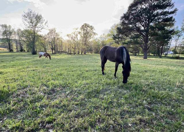 Property at 00 Kattie Ln, Tuscumbia, AL